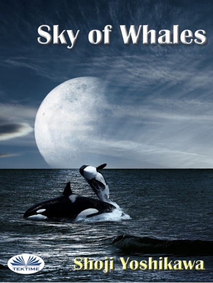 Shoji Yoshikawa — Sky Of Whales