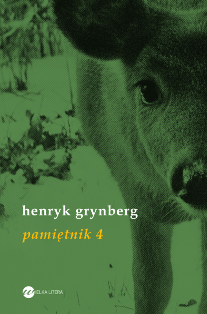 Henryk Grynberg - Pamiętnik 4