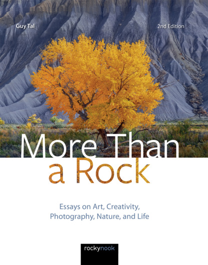 Guy Tal - More Than a Rock, 2nd Edition