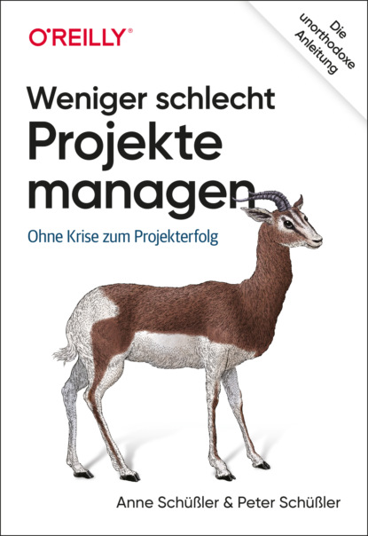 Anne Schüßler - Weniger schlecht Projekte managen