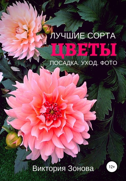 10+ редких растений из Красной книги России — названия, характеристика и фото