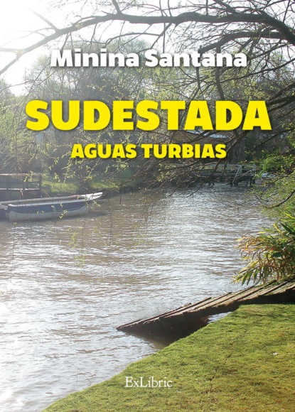 

Sudestada. Aguas turbias