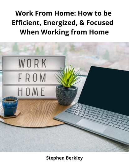 Stephen Berkley - Work From Home: How to be Efficient, Energized, & Focused  When Working from Home