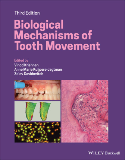 Группа авторов - Biological Mechanisms of Tooth Movement