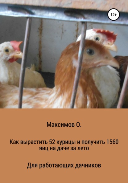 

Как вырастить 52 курицы и получить 1560 яиц на даче за лето. Для работающих дачников