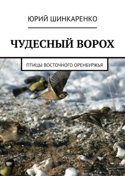 Обложка книги ЧУДЕСНЫЙ ВОРОХ. Птицы Восточного Оренбуржья, Юрий Шинкаренко