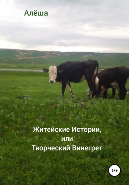 

Житейские истории, или Творческий винегрет