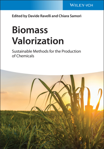 Группа авторов - Biomass Valorization