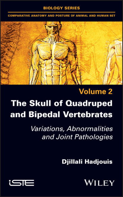 Djillali Hadjouis - The Skull of Quadruped and Bipedal Vertebrates