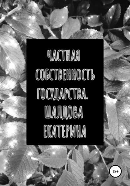 

Частная собственность государства
