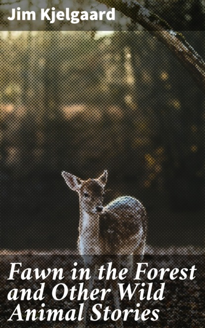 

Fawn in the Forest and Other Wild Animal Stories