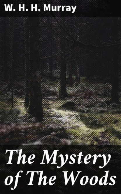 

The Mystery of The Woods