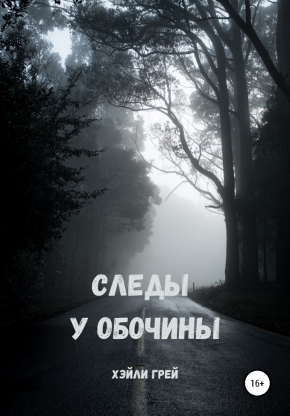 

Следы у обочины