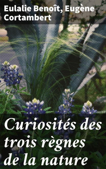 

Curiosités des trois règnes de la nature