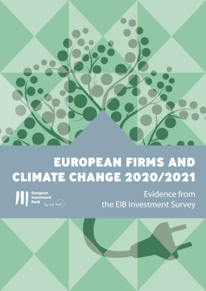 

European firms and climate change 2020/2021