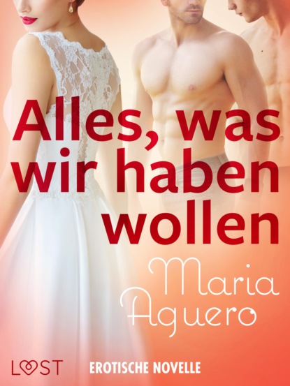 Alles, was wir haben wollen - Erotische Novelle (Maria Aguero). 