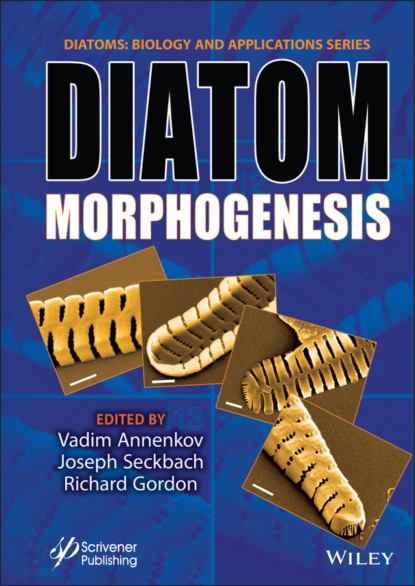 Diatom Morphogenesis - Группа авторов