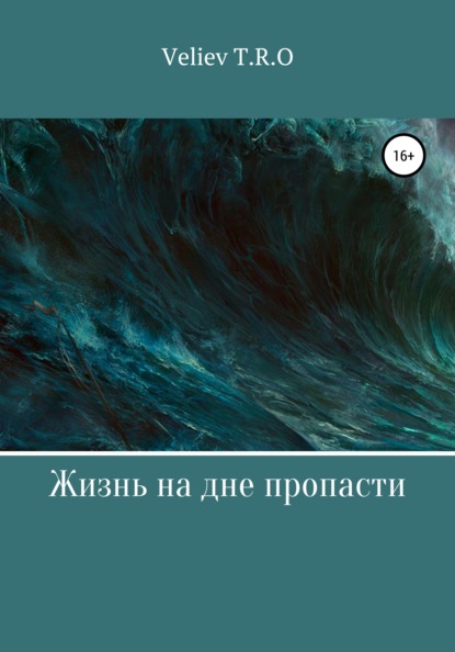 

Жизнь на дне пропасти