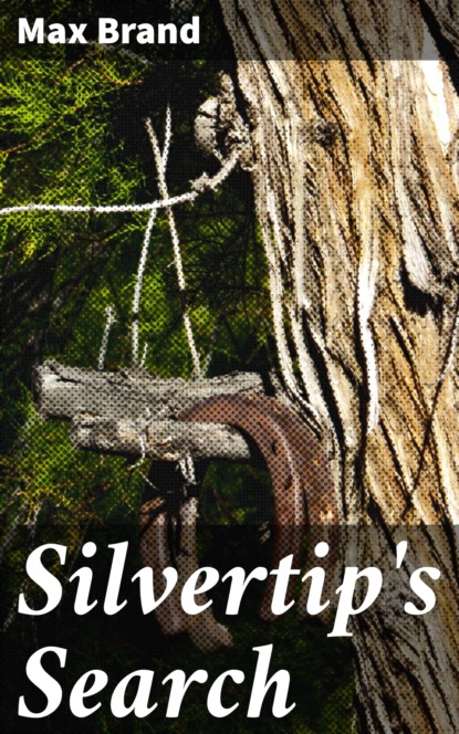 

Silvertip's Search