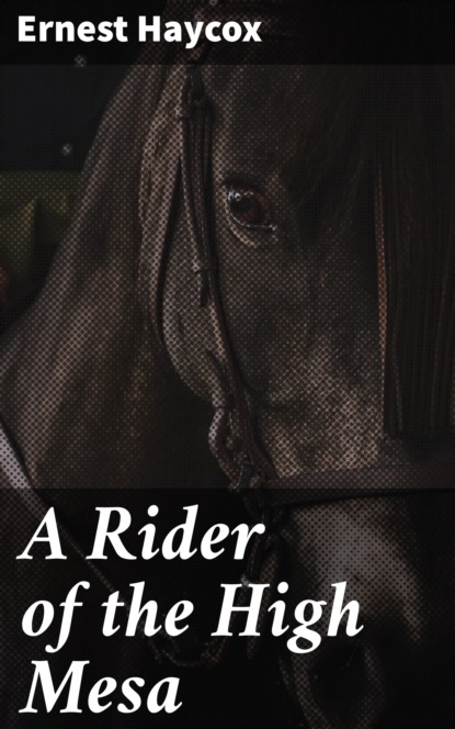 

A Rider of the High Mesa