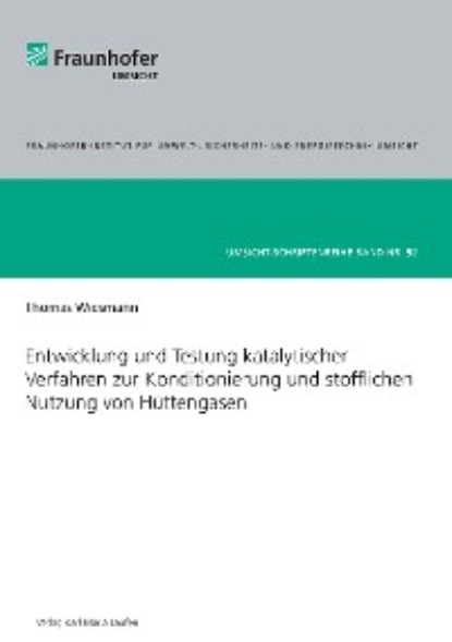 

Entwicklung und Testung katalytischer Verfahren zur Konditionierung und stofflichen Nutzung von Hüttengasen