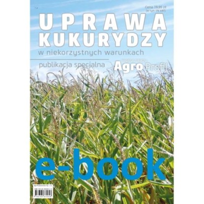 

Uprawa kukurydzy w niekorzystnych warunkach