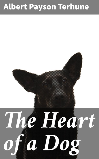 

The Heart of a Dog