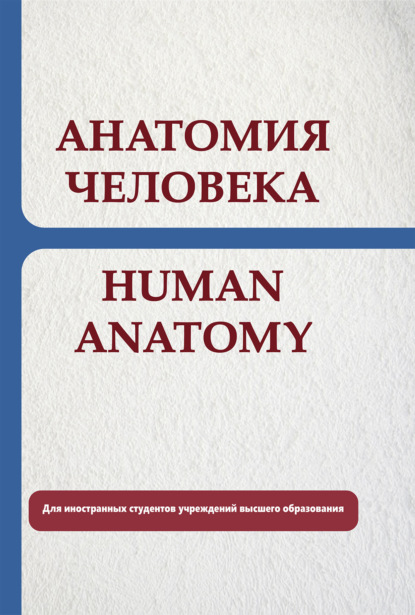 Анатомия человека. Human anatomy