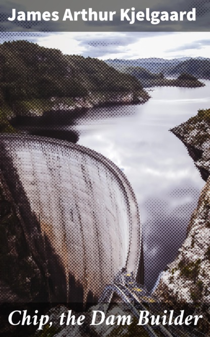 

Chip, the Dam Builder