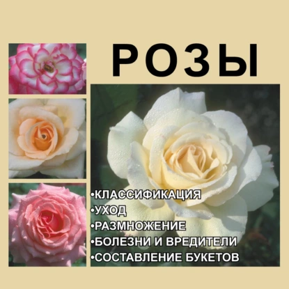 Обложка книги Розы, И. Е. Гусев