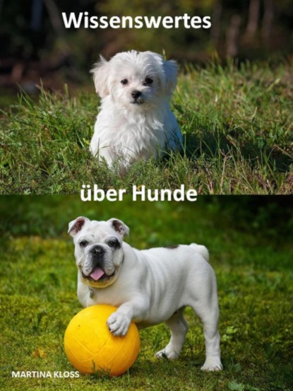 Wissenswertes über Hunde (Martina Kloss). 