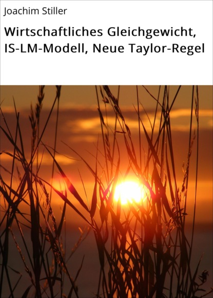 Wirtschaftliches Gleichgewicht, IS-LM-Modell, Neue Taylor-Regel - Joachim Stiller