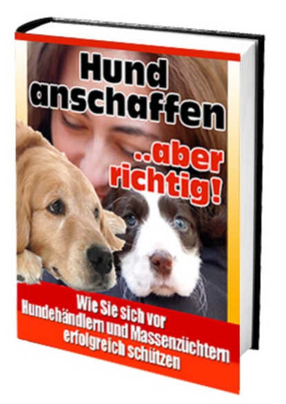 Hund anschaffen ... aber richtig (Ruediger Kuettner-Kuehn). 