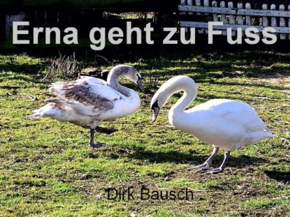 Erna geht zu Fuss (Dirk Bausch). 