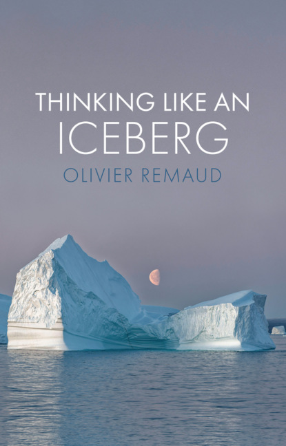 Thinking Like an Iceberg (Olivier Remaud). 