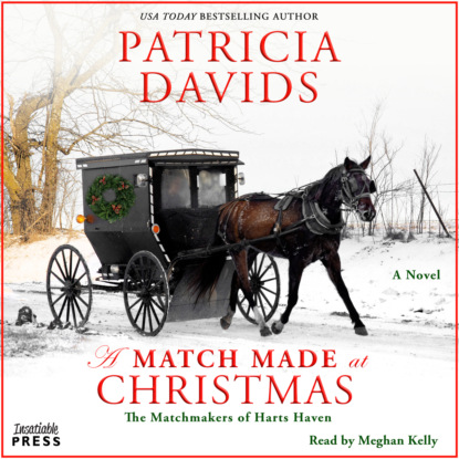 A Match Made at Christmas - Matchmakers of Harts Haven, Book 2 (Unabridged) - Patricia Davids
