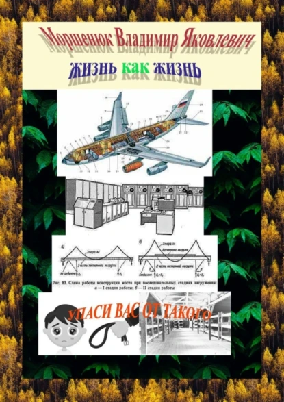 Обложка книги Жизнь как жизнь. Упаси других от такого, Владимир Яковлевич Моршенюк