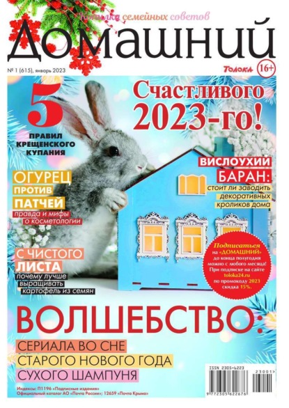 Домашний Журнал 01-2023