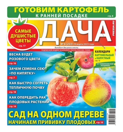 Дача Pressa.ru 06-2023 - Редакция газеты Дача Pressa.ru