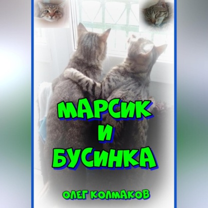 Аудиокнига Марсик и Бусинка ISBN 