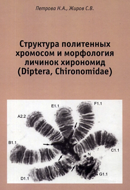 Обложка книги Структура политенных хромосом и морфология личинок хирономид (Diptera, Chironomidae). Атлас, Н. А. Петрова