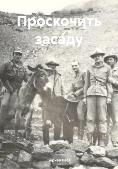 Обложка книги Проскочить засаду, Бёрнер Вася