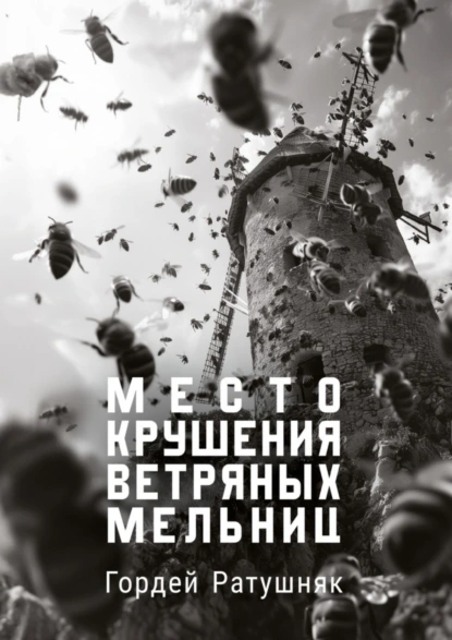 Обложка книги Место крушения ветряных мельниц, Гордей Ратушняк