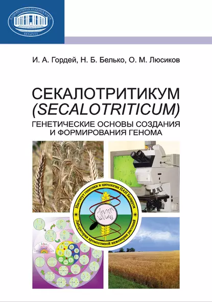 Обложка книги Секалотритикум (Secalotriticum). Генетические основы создания и формирования генома, И. А. Гордей