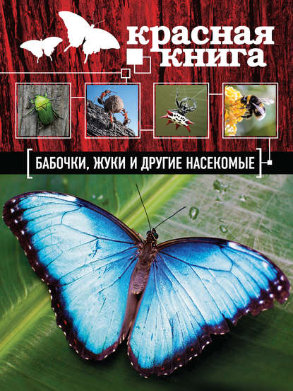 Винтажные бабочки оригами из нотных и книжных страниц