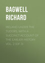 Ireland under the Tudors, with a Succinct Account of the Earlier History. Vol. 2 (of 3)