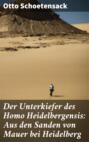 Der Unterkiefer des Homo Heidelbergensis: Aus den Sanden von Mauer bei Heidelberg