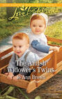 The Amish Widower\'s Twins