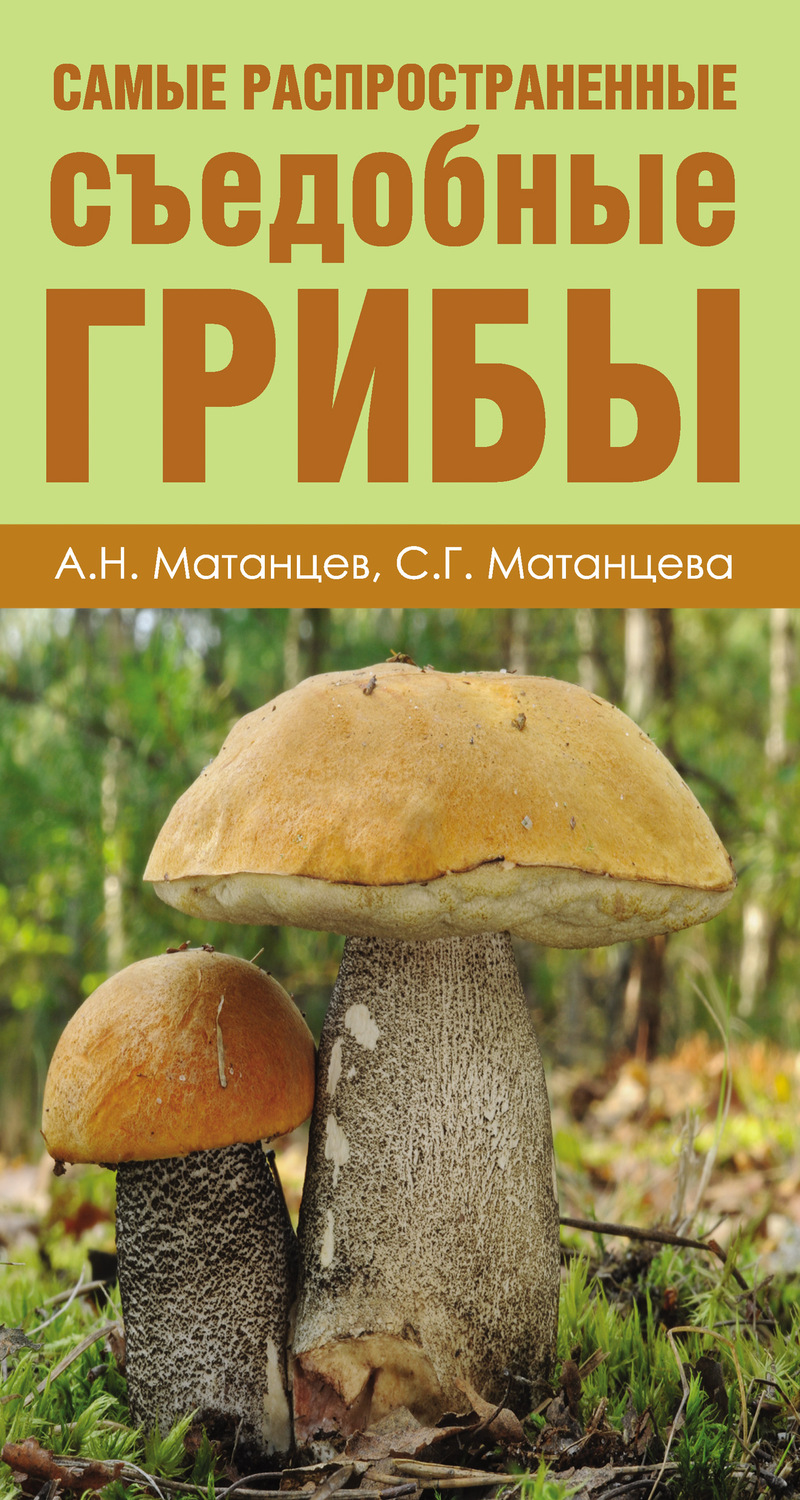 Атлас грибы Матанцева