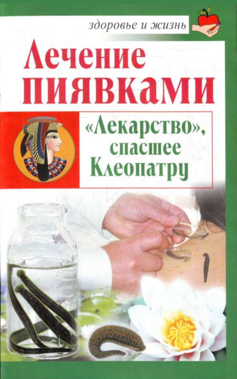 Лечение пиявками. Книга гирудотерапия. Гирудотерапия терапия. Книги о пиявках.